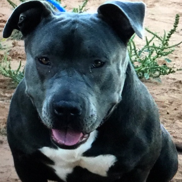 Meet your Posher, Paul - Picture 1 of 1